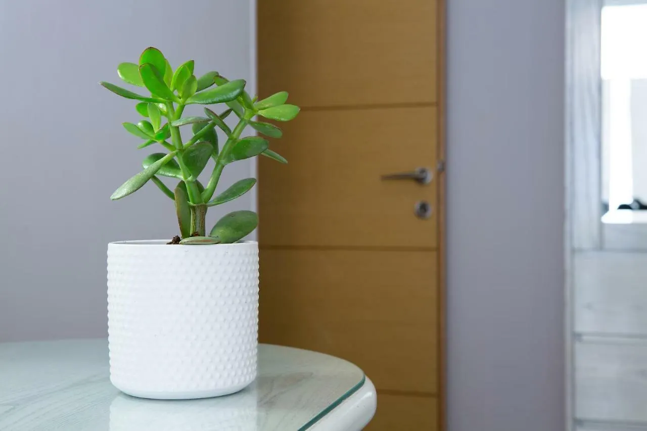 Modern Est.6 Apartment Thessaloniki Greece